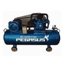 MÁY NÉN KHÍ DÂY ĐAI PEGASUS TM- W- 2.0 /12.5-500 L