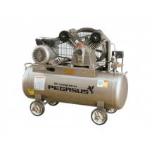 Máy nén khí piston PEGASUS TM-V-0.25/8-180L