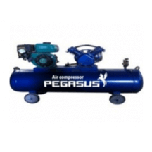MÁY NÉN KHÍ ĐẦU NỔ CHẠY BẰNG XĂNG TM-V-0.25/8-100L