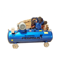 Máy nén khí piston PEGASUS TM-V-0.178-70L